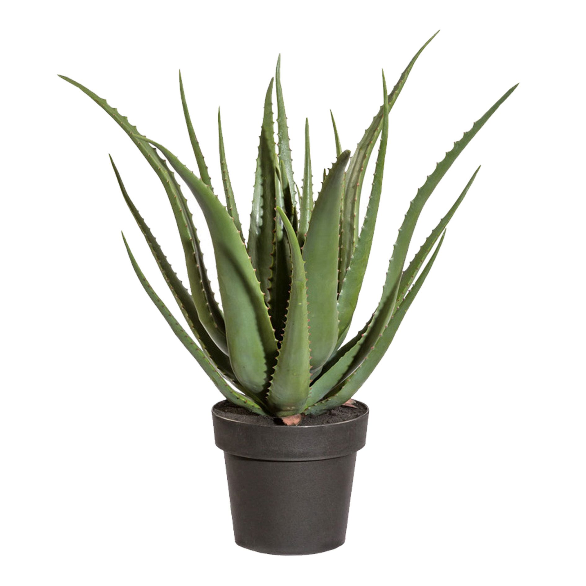 Aloe-Pflanze Gasper grün Kunststoff