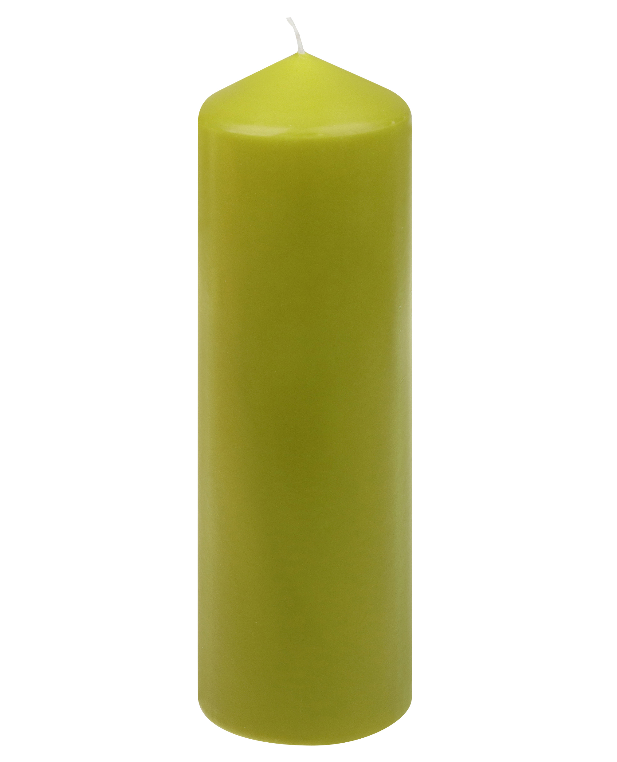 Candela Steinhart a cera verde