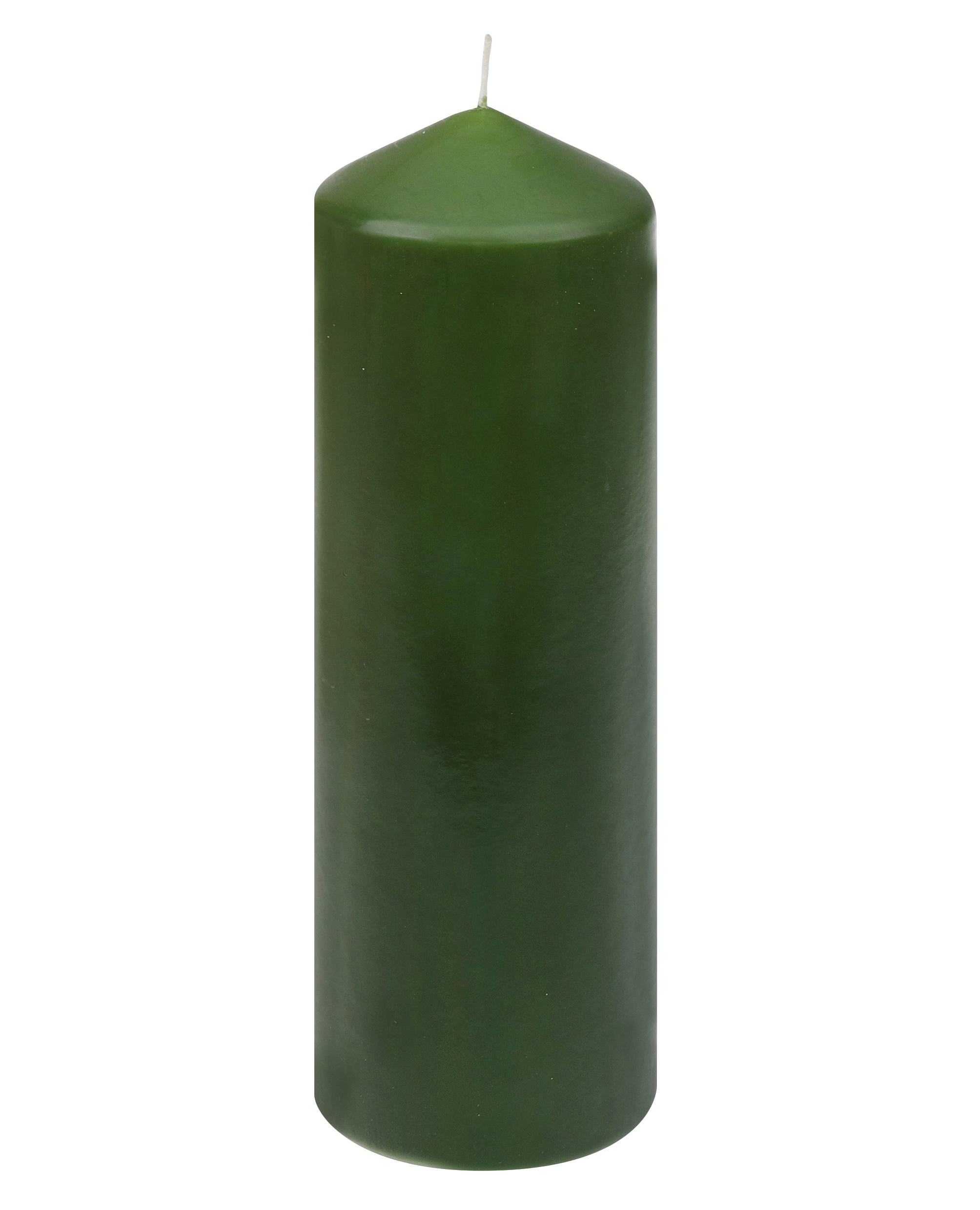 Candela Steinhart a cera verde