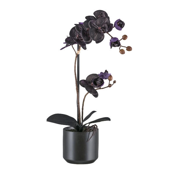 Kunstpflanze Phalaenopsis Gasper schwarz Kunststoff