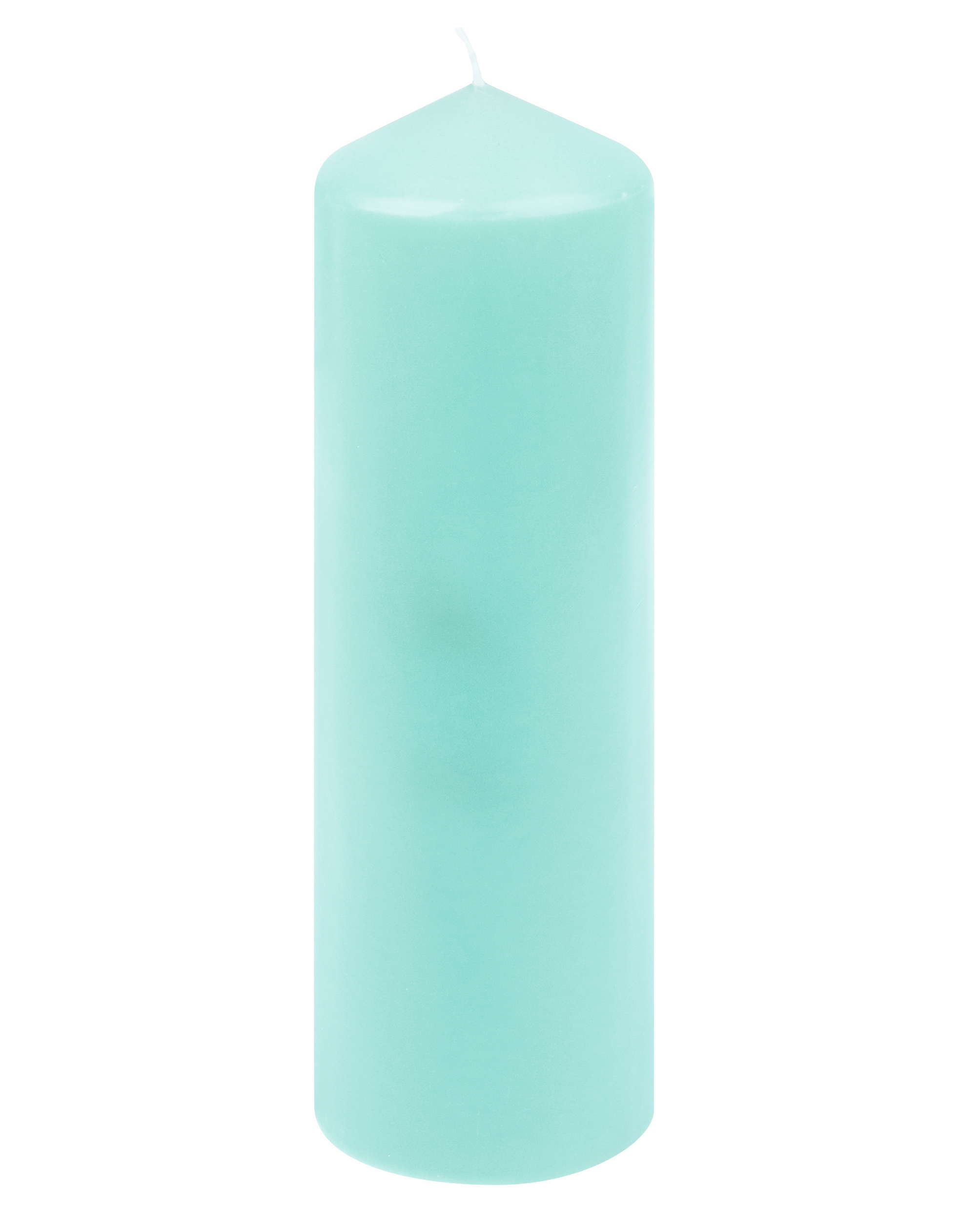 Candela Steinhart a cera verde