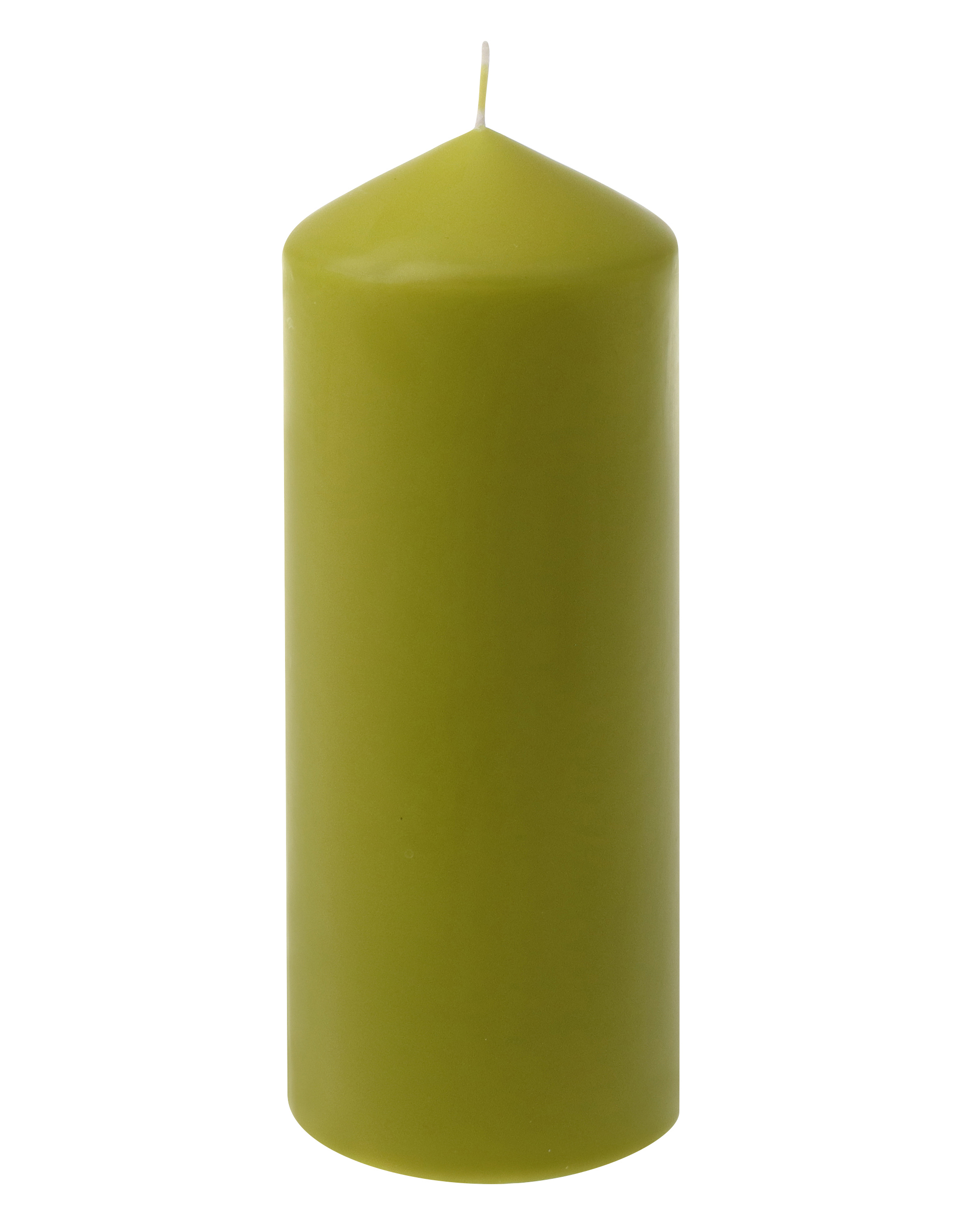 Candela Steinhart a cera verde