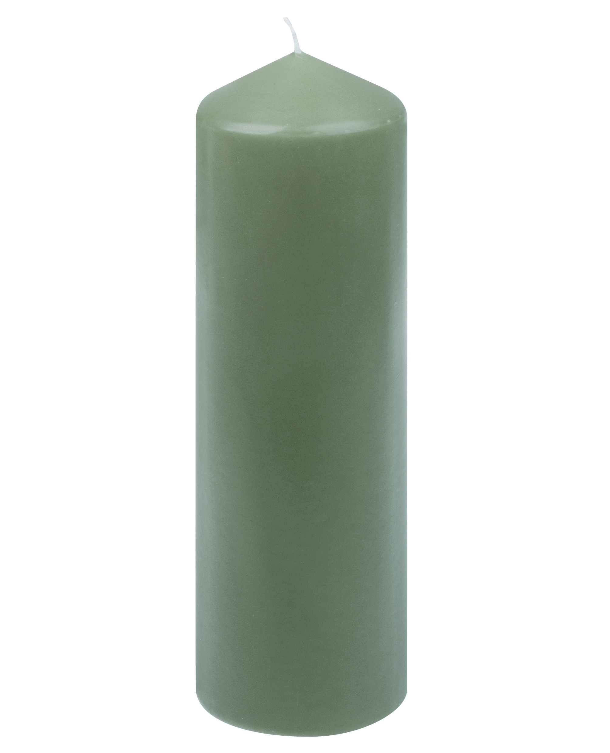 Candela Steinhart a cera verde
