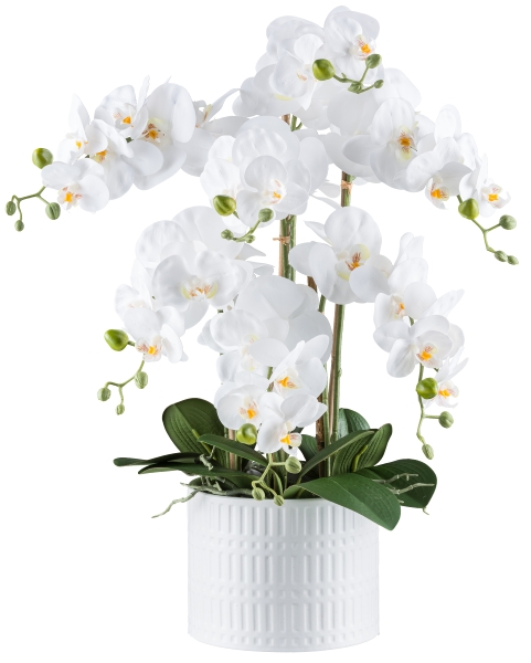 Kunstpflanze Phalaenopsis Gasper weiß Kunststoff