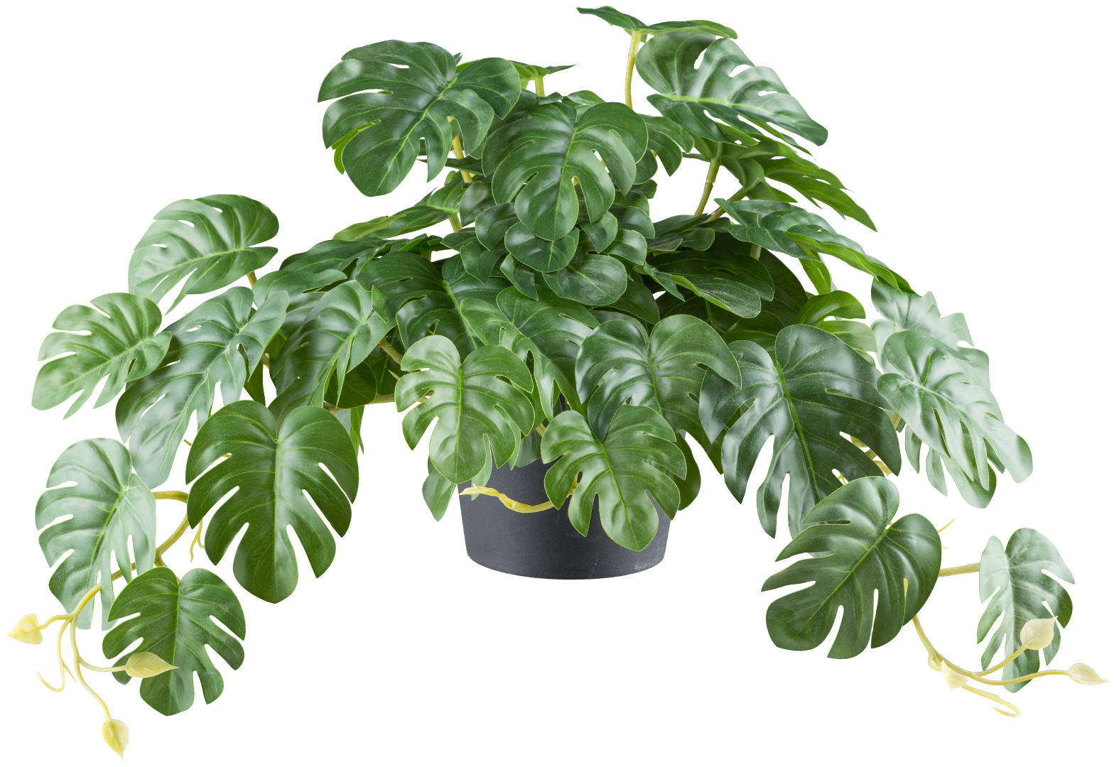 Splitphilodendron Jager Grün Kunststoff