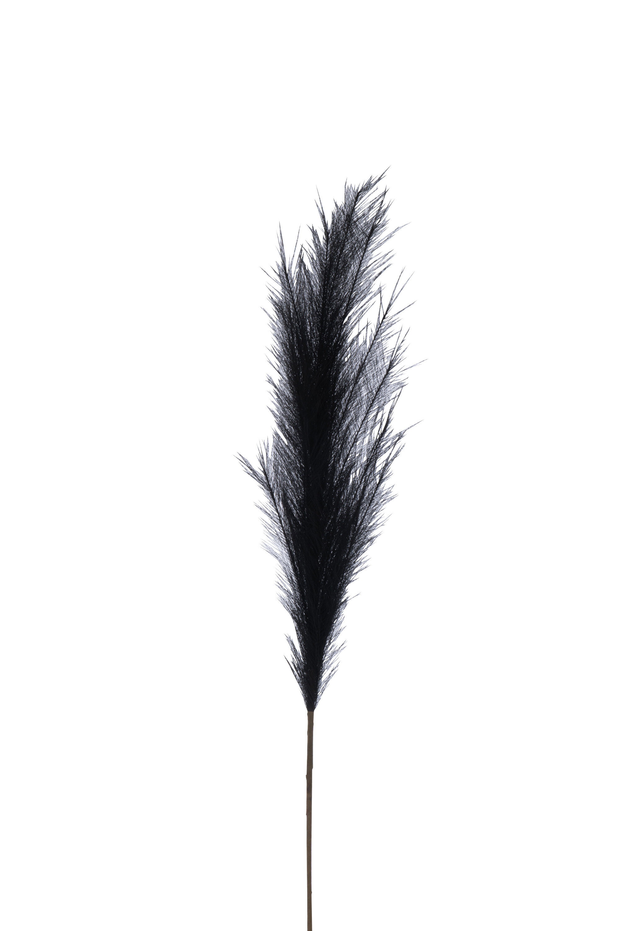 Carta poliestere nera a fronde di ramo