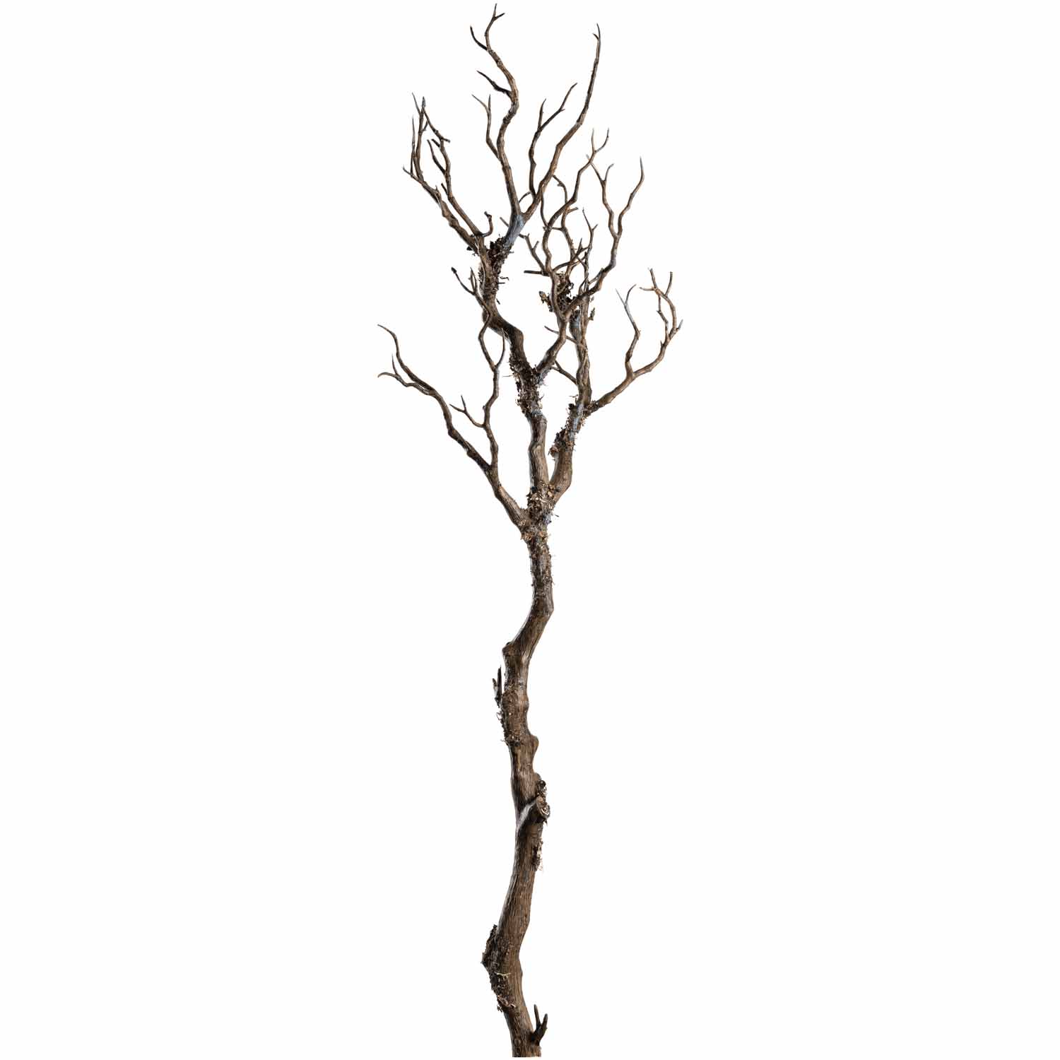 Blume Zweig Fiore braun Polyethylen (PE) Eisen