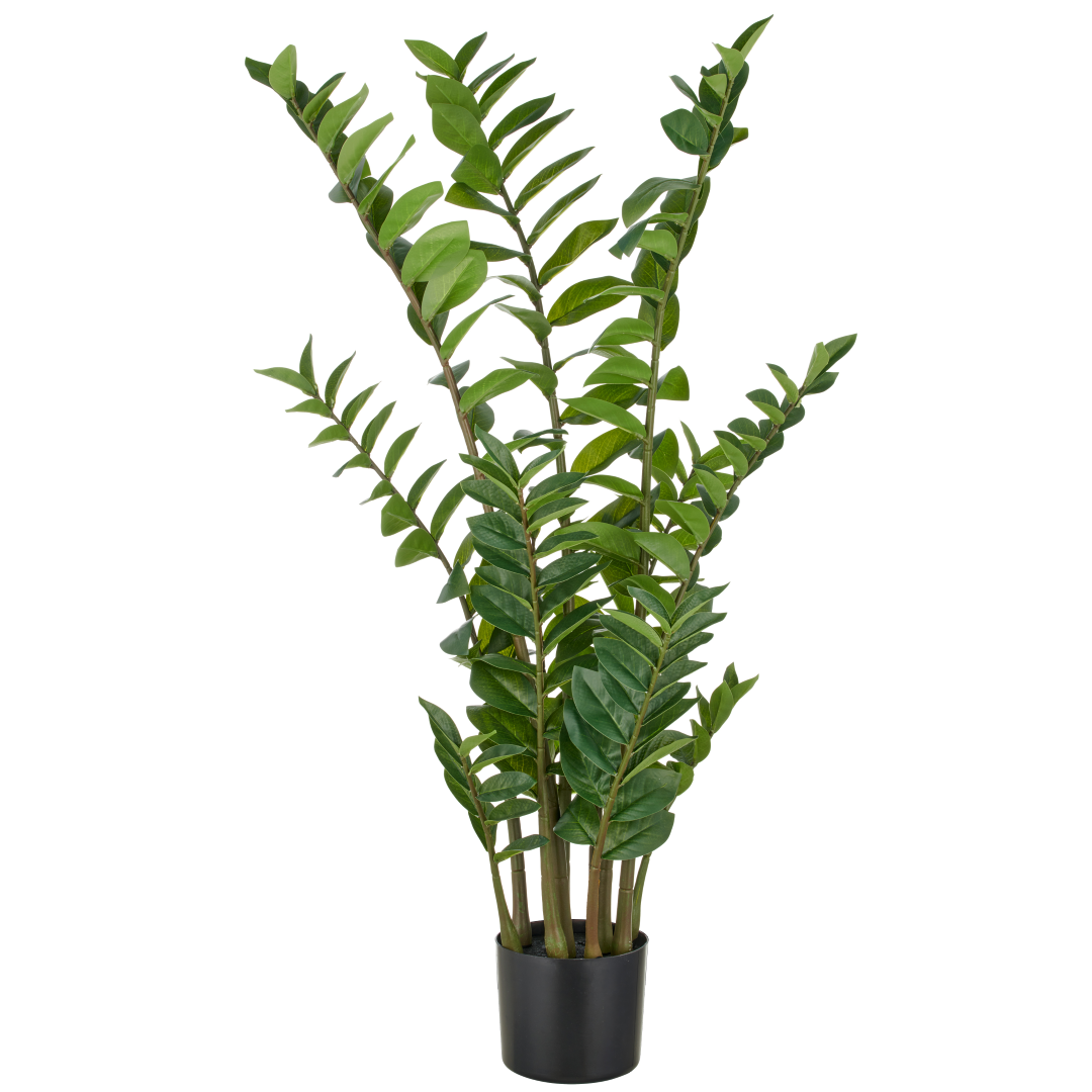 Zamifolia Jawa Grün Kunststoff