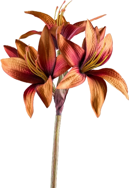 Kunstpflanze Amaryllis Gasper zimt Kunststoff